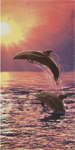 30x60 Sunset Dolphins Fiber Reactive Beach Towel.